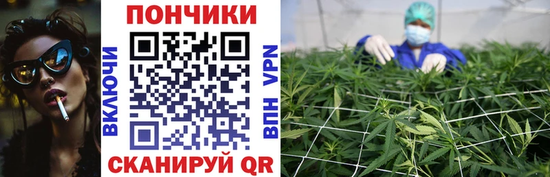 Шишки марихуана OG Kush Кедровый